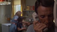 Jaws (1975) | Image via: Universal Pictures